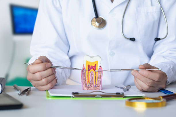 Best Emergency Root Canal Therapy in Eggertsville, NY